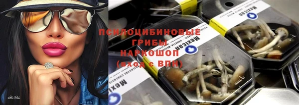 прущие грибы Майский