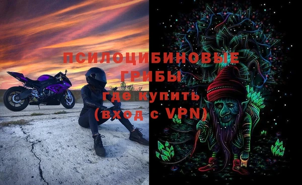 прущие грибы Майский