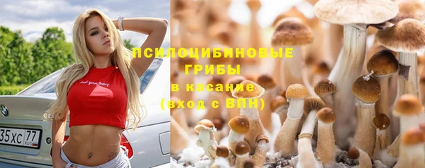 МДПВ Магас